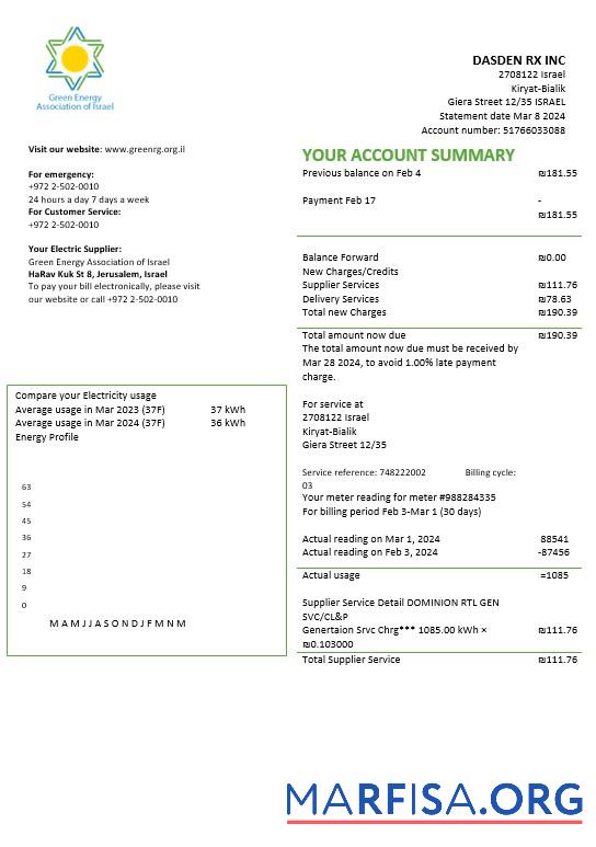 Blank Israel Green Energy Association of Israel business utility bill template in Word and PDF formats